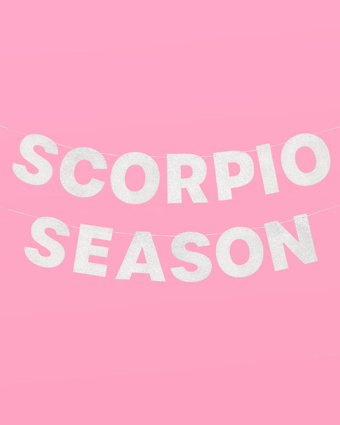 Scorpio Season Banner - silver glitter banner