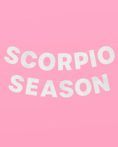 Scorpio Season Banner - silver glitter banner