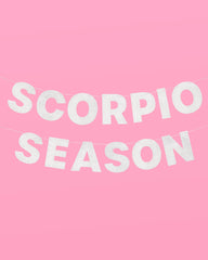 Scorpio Season Banner - silver glitter banner