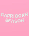 Capricorn Season Banner - silver glitter banner