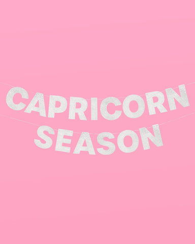 Capricorn Season Banner - silver glitter banner